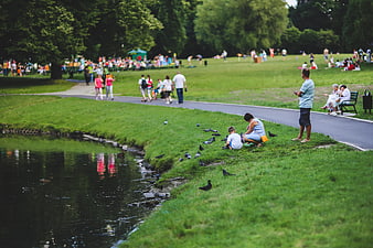 People relaxing and feeding pigeons in a sunny park
