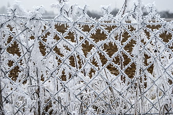Frost-covered chain-link fence in winter landscape