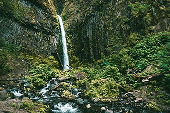 Mossy waterfall cascading into a forest stream