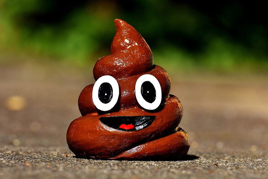Cute Brown Poop Emoji Figurine with Big Eyes