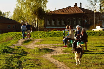 Elderly couple and dog in a sunny Russian village park