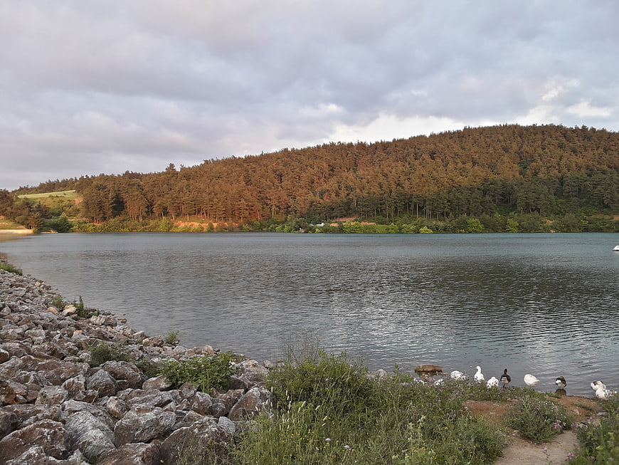 Serene Lake Landscape with Forested Hill and Ducks