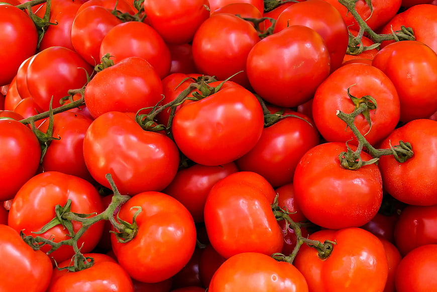 Fresh Red Tomatoes Pile Close Up