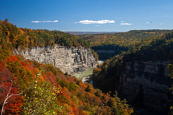 Scenic Autumn Canyon with Vibrant Foliage and River