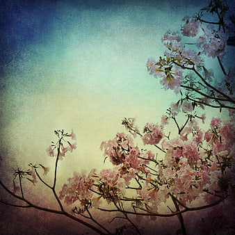 Vintage Pink Flower Branches on Textured Background