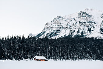 Solitary wooden cabin in snowy mountain landscape with pine forest