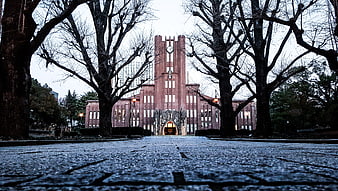 Low angle view of Todai University clock tower in Tokyo