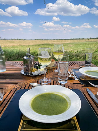 Outdoor dining table with green soup and wine in a field