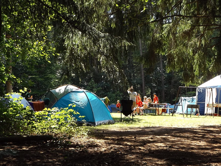 Camping in a forest clearing with tents and people
