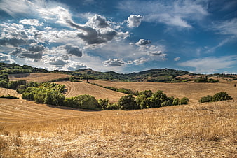 Golden Tuscan Hills Landscape with Blue Sky and Clouds