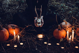 Witch holding deer skull with pumpkins and candles in forest