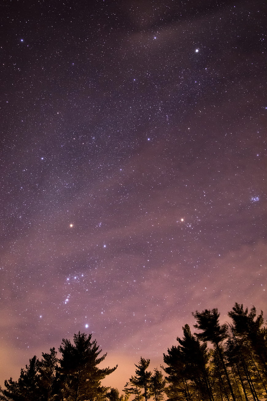 Starry Night Sky Over Pine Tree Silhouettes