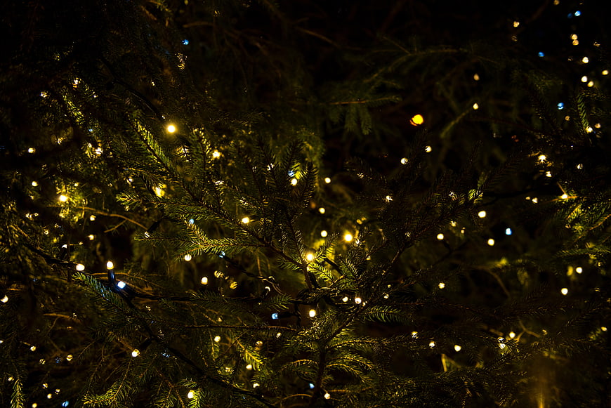 Close-up of Christmas tree branches with glowing fairy lights at night