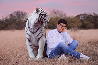 Young man sitting in a field next to a white tiger at sunset
