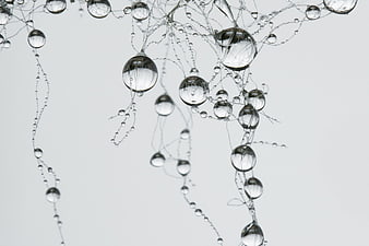 Abstract water droplets and strands on white background