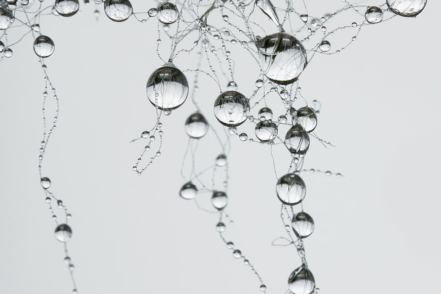 Abstract water droplets and strands on white background
