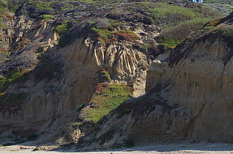 Sandy coastal cliffs with erosion patterns and green vegetation