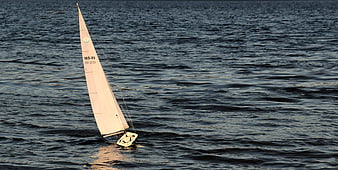 Small RC Sailboat Sailing on Dark Water