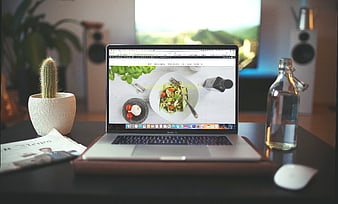 Laptop on Desk with Cactus and Water Bottle