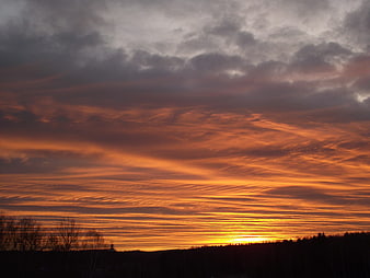 Dramatic orange sunset sky with textured clouds over dark forest silhouette