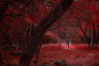 Couple embracing in surreal red forest with vibrant foliage