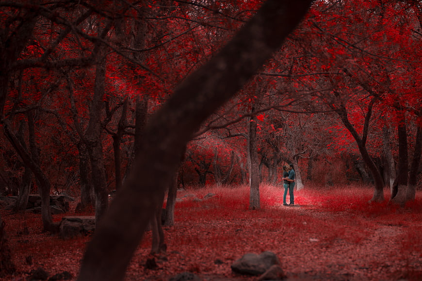 Couple embracing in surreal red forest with vibrant foliage