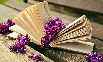 Open Book with Purple Lilacs on Wooden Bench