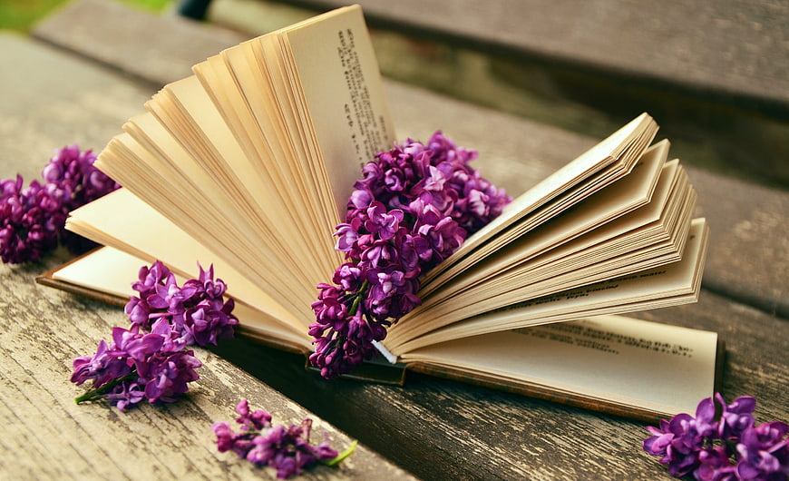 Open Book with Purple Lilacs on Wooden Bench
