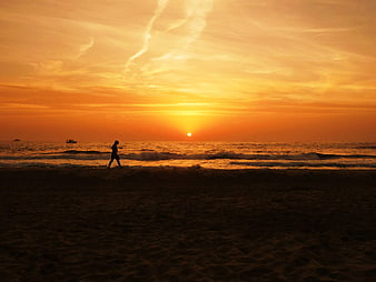 Silhouette of Person Walking on Beach at Golden Sunset