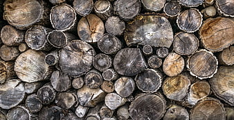 Stacked Firewood Logs Texture Background