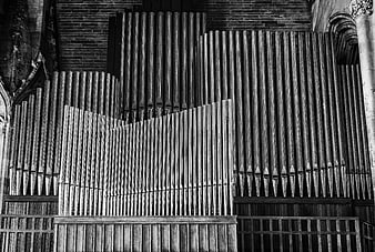 Black and White Church Organ Pipes Architecture