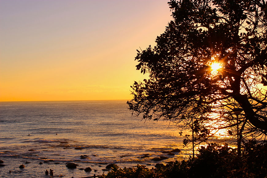 Golden Sunset Over Ocean Through Silhouetted Tree Branches