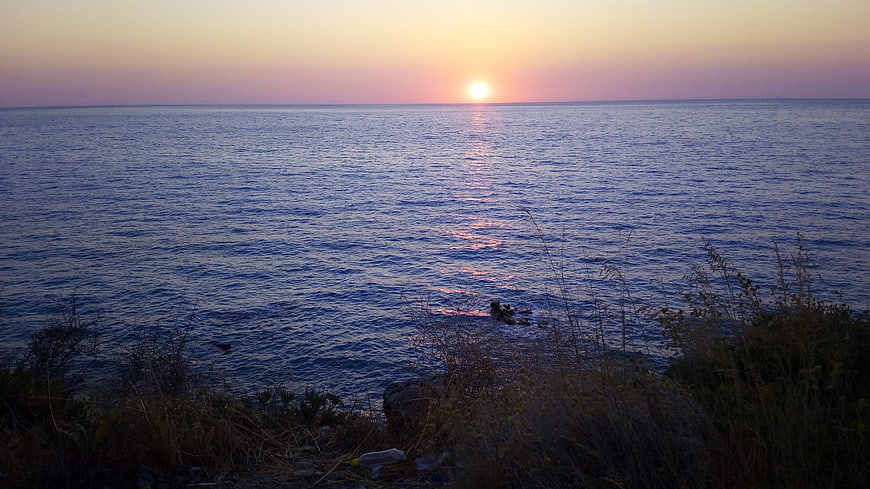 Serene Sunset Over Calm Sea with Coastal Grass Foreground