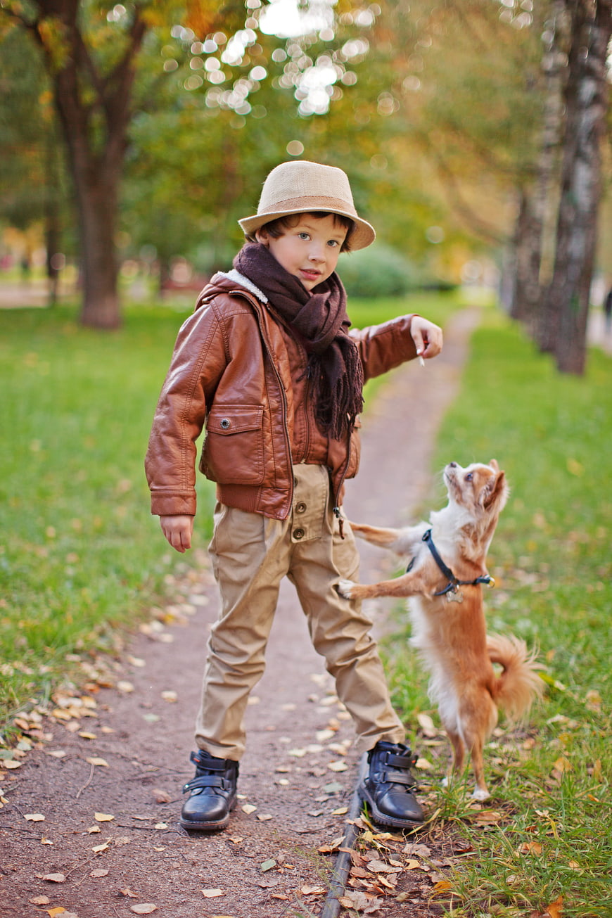 Young boy in leather jacket and hat playing with small dog in autumn park
