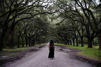 Woman in Black Dress Walking Down Mossy Oak Tunnel Road
