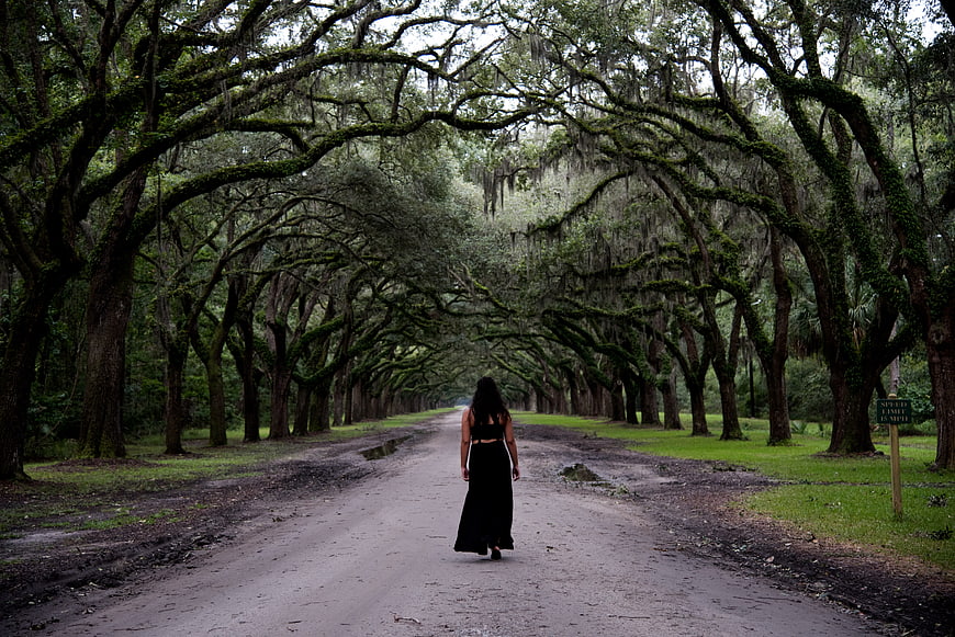 Woman in Black Dress Walking Down Mossy Oak Tunnel Road