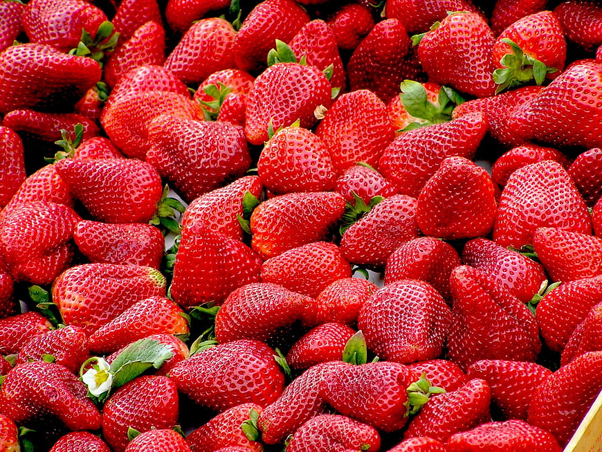 Close-up of fresh ripe red strawberries filling the frame