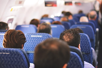 Rear View of Airplane Passengers Seated in Cabin
