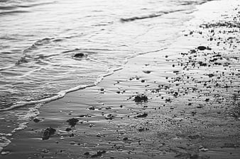 Black and white beach shoreline with gentle waves and pebbles