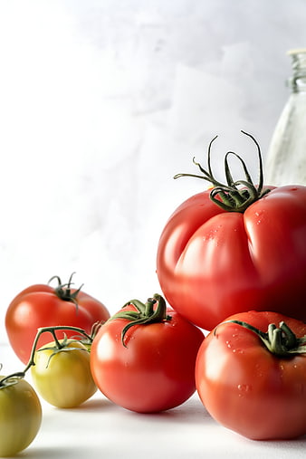 Fresh Ripe Red Tomatoes on White Background