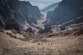 Hikers in vast mountain canyon with autumn foliage