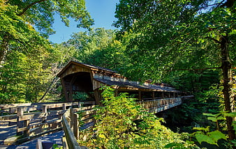 Rustic wooden covered bridge in lush green forest