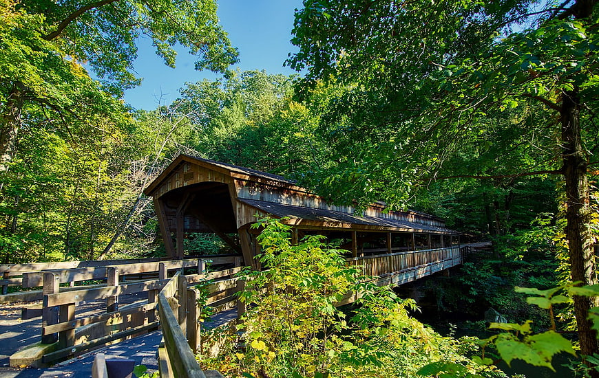 Rustic wooden covered bridge in lush green forest
