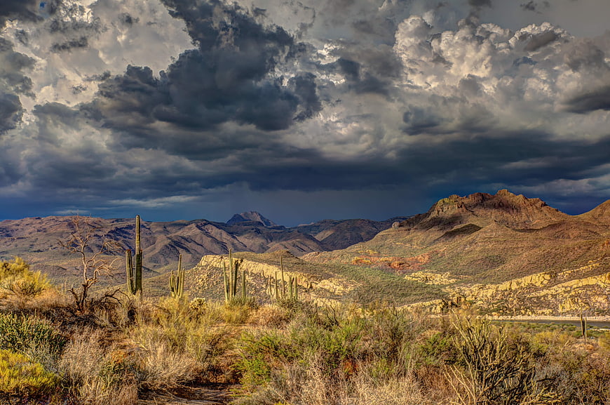 Dramatic desert landscape with saguaro cacti and storm clouds