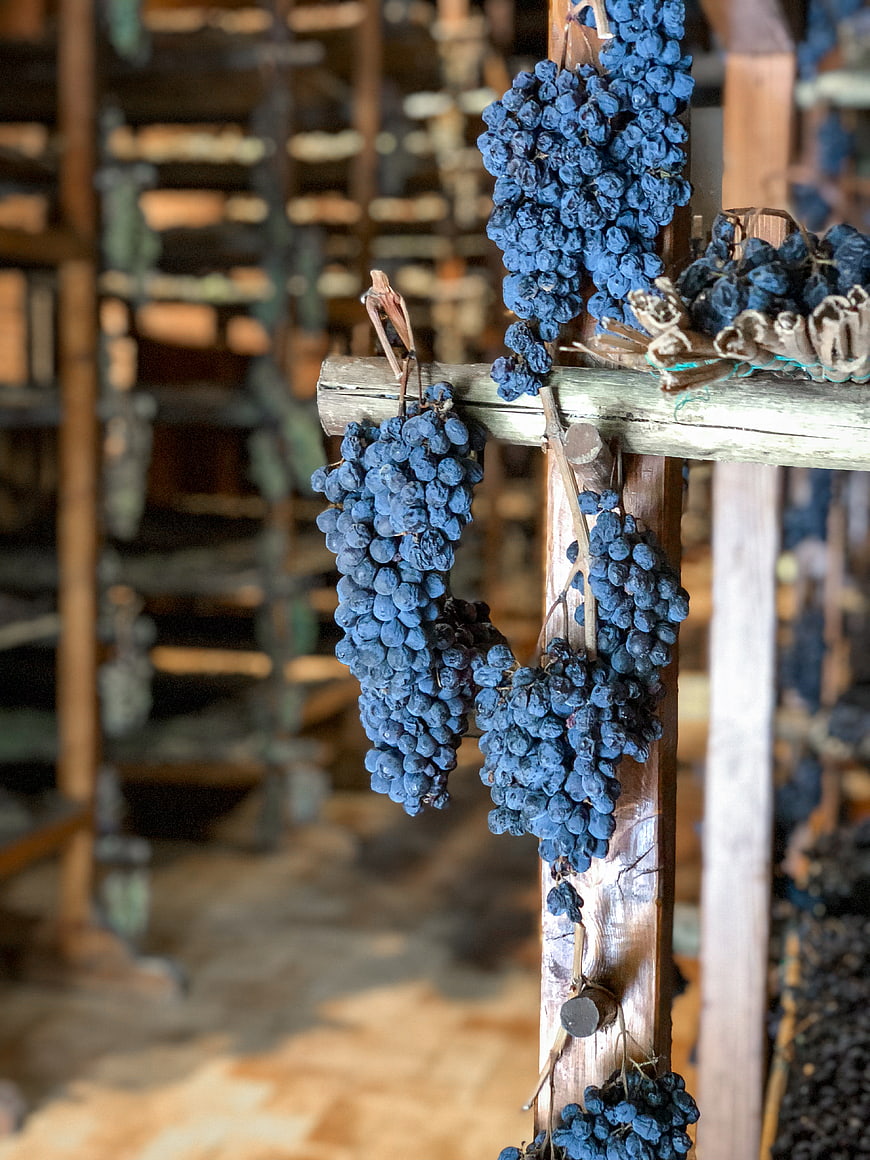 Dried Grapes Hanging on Wooden Racks in Traditional Winery