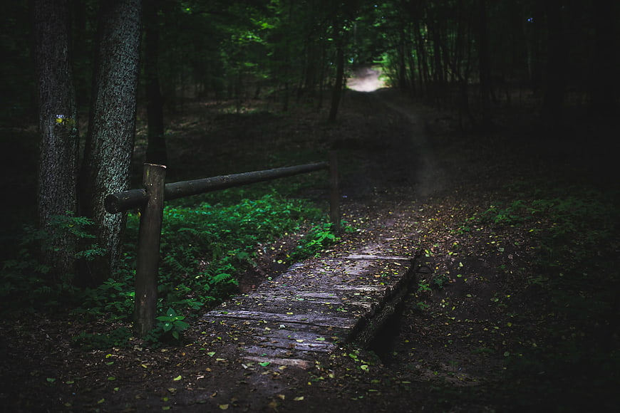 Mysterious wooden bridge on a dark forest path