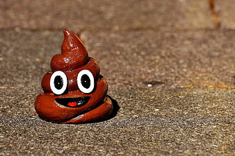 Brown Poop Emoji Figurine on Concrete Surface