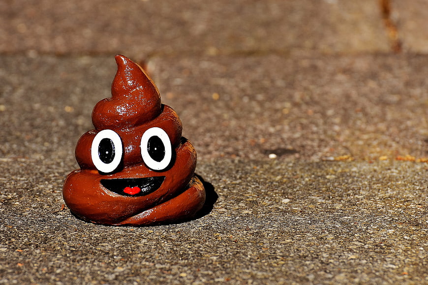 Brown Poop Emoji Figurine on Concrete Surface