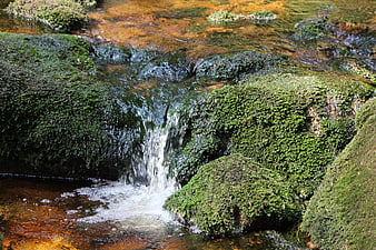 Mossy rocks in a flowing stream with clear water