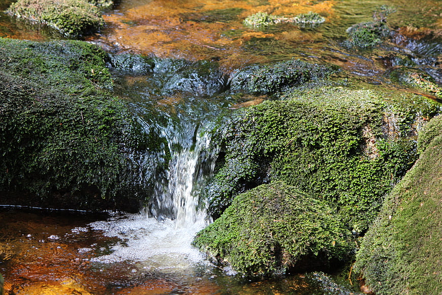 Mossy rocks in a flowing stream with clear water